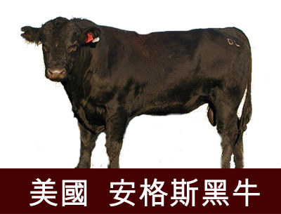 【爱好康团购网】★安格斯霜降雪花火锅肉片★1kg!
